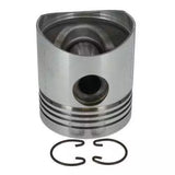 SFEP-1252  PISTON W/ PIN & CLIPS